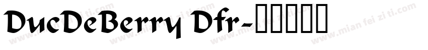 DucDeBerry Dfr字体转换